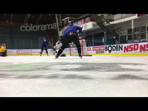 Talor Joseph Goalie Session Boden HF (HockeyEttan) 2020