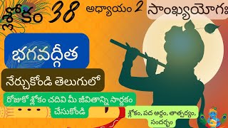 Bhagavad Gita chapter 2 verse 38||sankyayoga|| భగవద్గీత 2వ అధ్యాయం శ్లోకం 38|| divine touch telugu