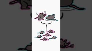 Spider Cannibalism Explained — Full Breakdown & Transcript