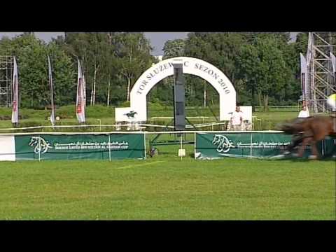 D33 G7 NAGRODA EUROPY