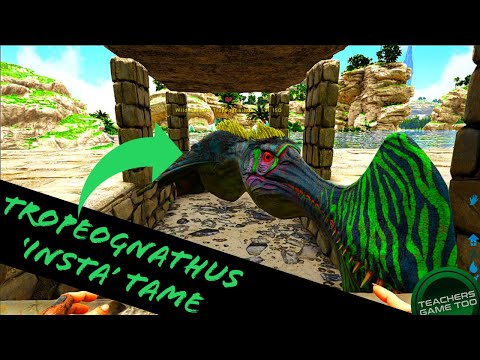 TROPEOGNATHUS 'INSTA' TAME TRICK