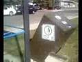 The Bus Stop