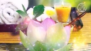 Spa & Wellness Oasis – Relaxing Music for Massage, Spa Music, Tranquil Meditation Music
