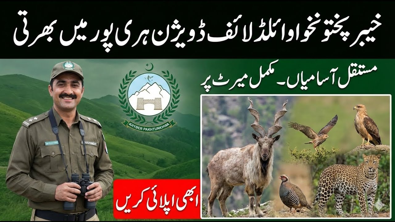Wildlife Division Haripur Jobs 2026 | Latest KPK Government Vacancies | Apply Online via ETEA