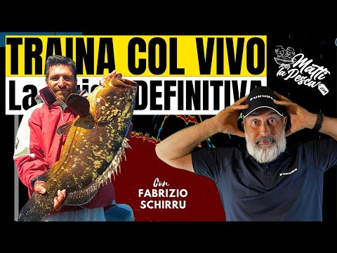 LIVE TROLLING: The definitive guide for boat fishing for groupers, snappers and amberjacks.