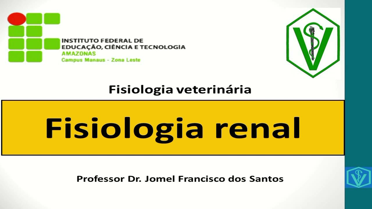 Fisiologia Renal