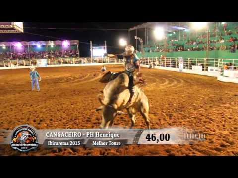 Rodeio de Ibirarema 2015 - MELHOR TOURO