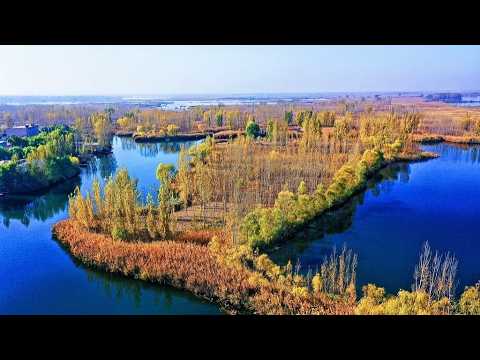 Live: Discover the eco-harmony of Baiyangdian Lake in north China