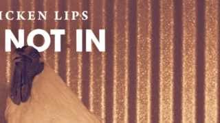 Chicken Lips - He Not In (Groove Armada's Dub Reconstruction)