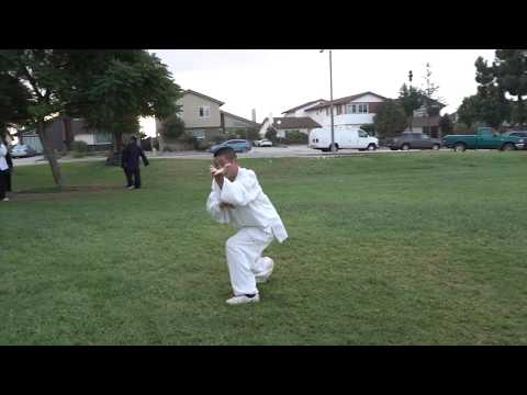 Bagua: Following Posture Palm