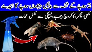 Get rid of mouse, Mosquito, Flies,lizard with homemade spray l powerful insects killer remedy