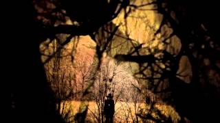 LOVE DESTROYS ALL EVIL -JOZEF VAN WISSEM