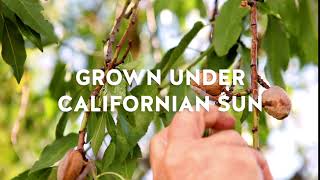 Meadows Nuts From California