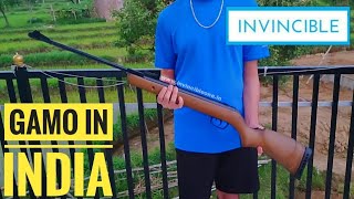 No License Required Gamo Big Cat Hunter Air Rifle in india-best for sports-made in spain-full review