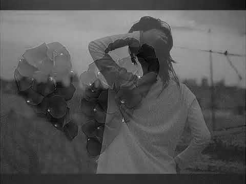 Bellaccord Electro - Alfrēds Vinters - Draugs, nejautā