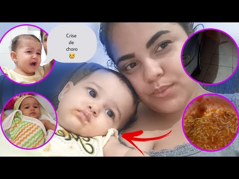 Sophia video