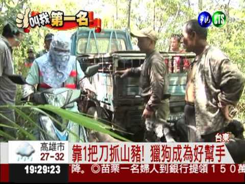 布農族山豬達人 30年撂倒千頭豬