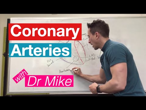 Coronary Arteries | Cardiology