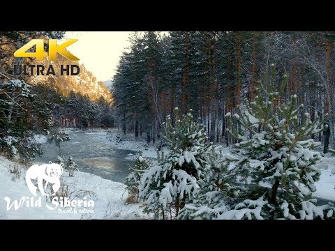 Siberian Mountain River late Autumn