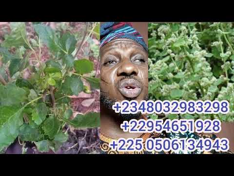 EYONU ASINA OLA TUTU TODAJU, +2348032983298, +22954651928, +225 0506134943