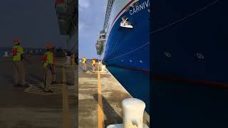 it's magic #cruisedestination #carnivalcruiseline #travel #viral #turksandcaicosisland