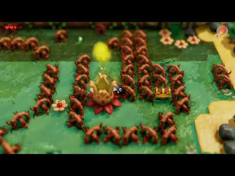 Legend Of Zelda Link's Awakening How to Find The Swamp Or Bottle Grotto  (Quick Tips)