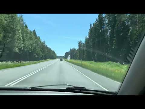 Driving between Forest in Himanka | Today in Finland #188