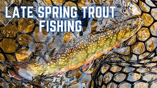 Trout Fishing Solo: Late Spring Success