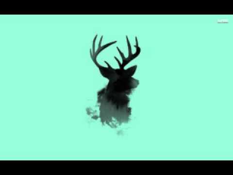 Bodyrox Feat  Chipmunk & Luciana   Bow Wow Wow Mike Delinquent Project Remix Psyzemun 2x edit 2