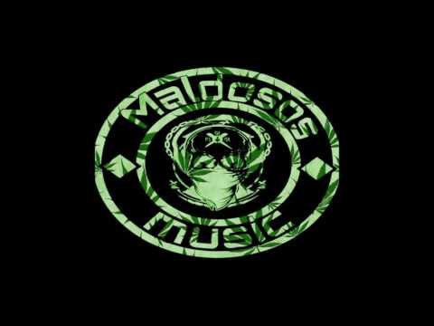 11.-mas de 10 mc´´s reb. R-A-D-G (bicho sf3) LA MERA PAYPA APA.