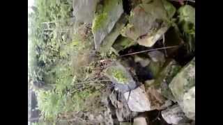 Rain rain and more fudging rain. My allotment