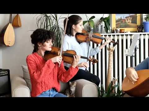 Video Yükleniyor...