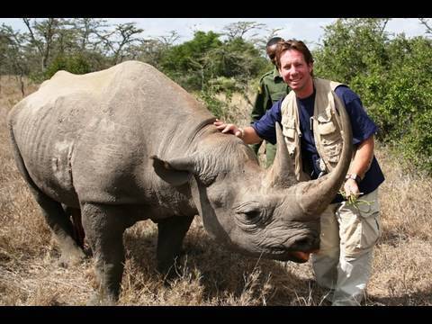 download lagu mp3 mp4 Tame Rhino, download lagu Tame Rhino gratis, unduh video klip Tame Rhino