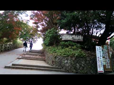 Ⅰ am Japanese but Ⅰ try speaking English 2(on Mt.Takao）