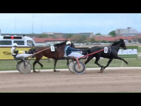 2017.04.29. 8. futam - 2017. ÉVI SEGÉDHAJTÓ KUPA HENDIKEP II. FUTAM