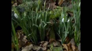 Pat Metheny Finding and believing.wmv