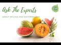 Ask The Experts About Melons