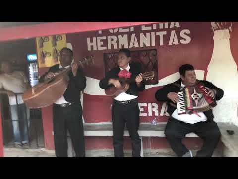 conjunto del aguacate Honduras