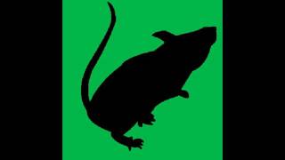 R.I.P.S. do &#39;RATS&#39; by KINKS