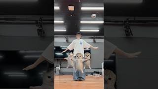 猫たちとおどった #shorts