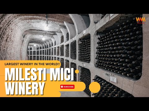 You won’t believe how big this wine cellar is! | Milestii Mici Winery, Moldova