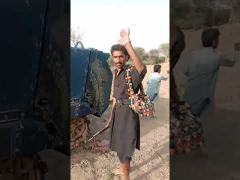 Shikarpur Dakuon Ne Police Ehalkaron ko Shaheed ker k Bakter Band Garioon per qabza ker liya video