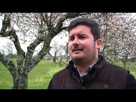 Territorio Extremadura - Canal Extremadura