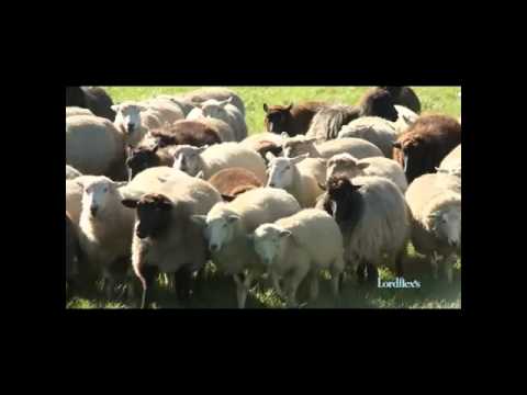 LORDLFEX'S   Documentario LORDFLEX'S   5 episodio I materiali