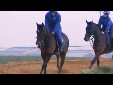32Red King George VI Chase: Cue Card
