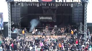LOOKING FOR AN ANSWER Live At OEF 2012