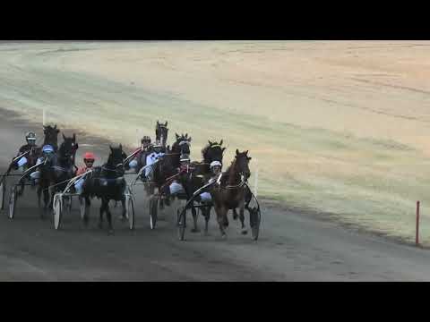 Cervantonpridegar & D. Petrović