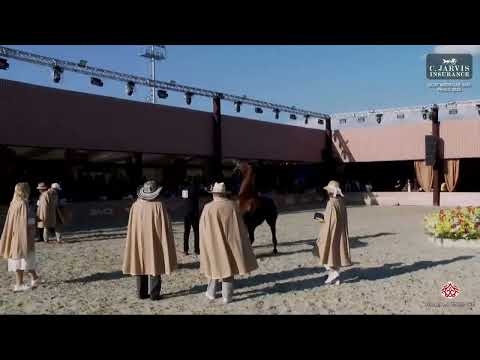 N 126 CASH DEL TINO JM   GCAT Americas Sao Paulo 2025   Senior Stallions Class 6B