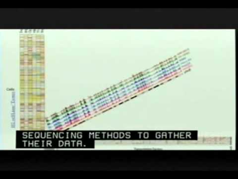 ENCODE - Elise Feingold