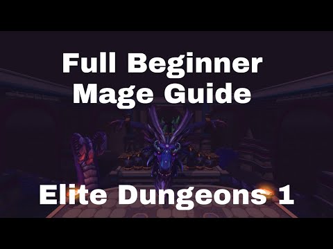 Full Beginner Mage Guide for Elite Dungeons 1 (Temple of Aminishi)